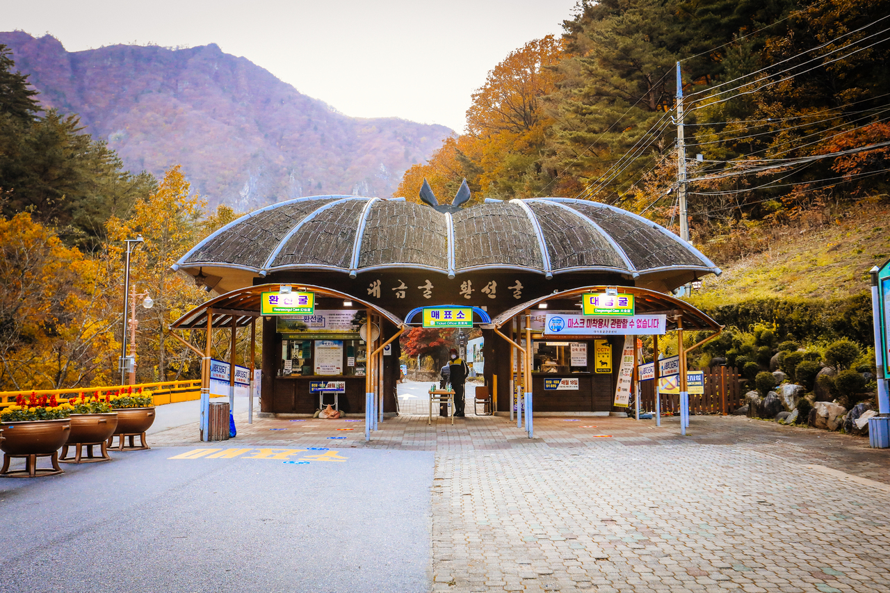 삼척 환선굴 _국내 최대규모 이미지 9