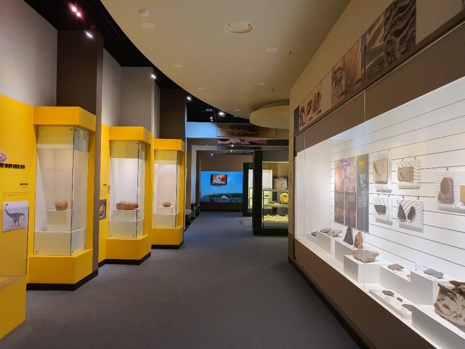 고성 공룡박물관 이미지 10