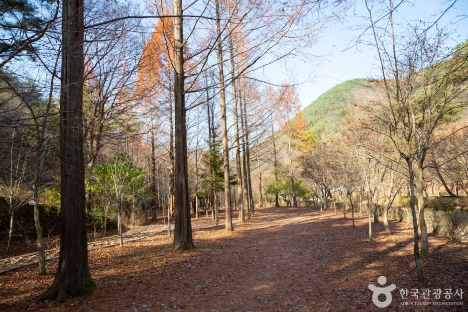 대전 상소동 산림욕장 이미지 10