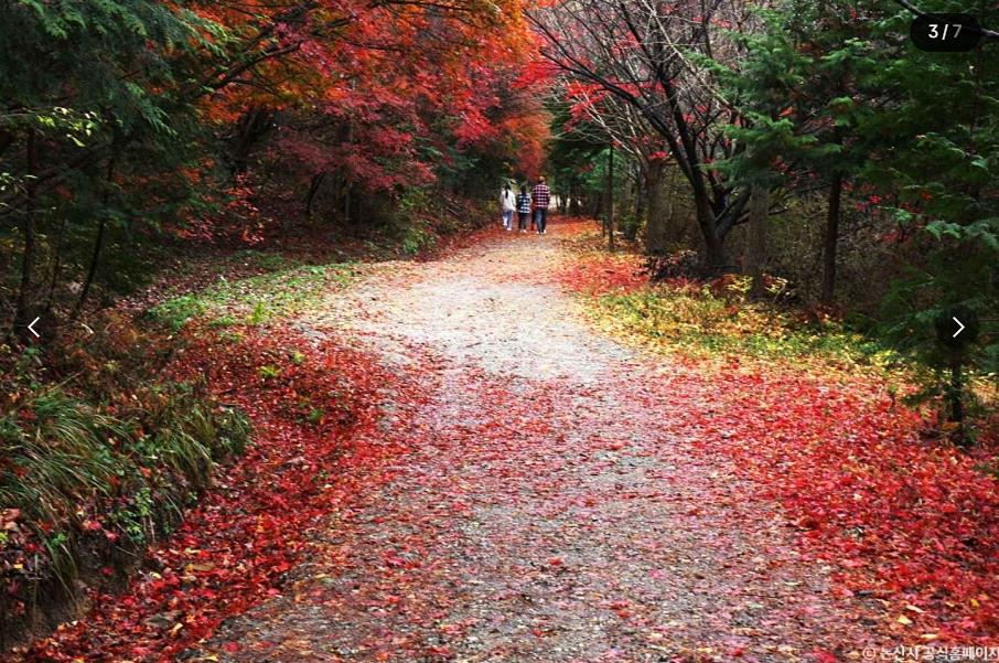 논산 온빛자연휴양림 이미지 2