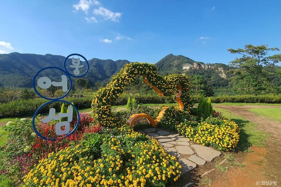 임실 옥정호 출렁다리 및 붕어섬생태공원 이미지 3