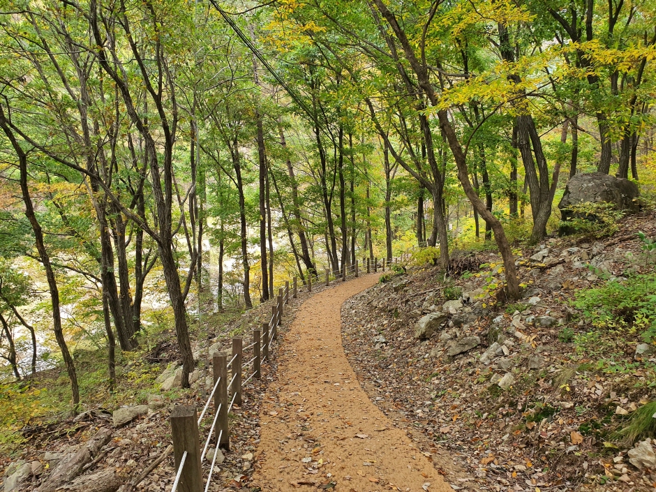 옥천 장령산자연휴양림 이미지 5