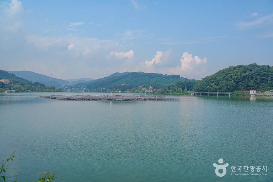 안성 덕산저수지 산책로 이미지 4