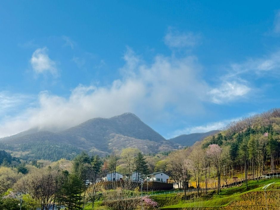 국립 진안고원산림치유원 이미지 2
