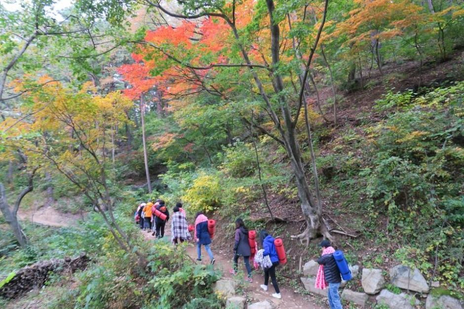 강릉 국립대관령치유의숲 이미지 9