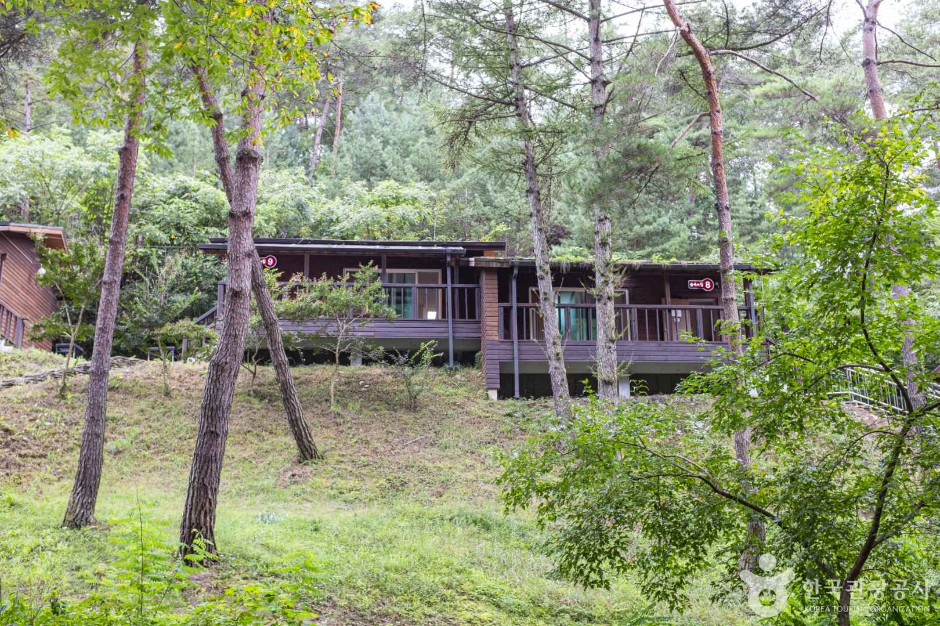 청송 자연휴양림 이미지 5