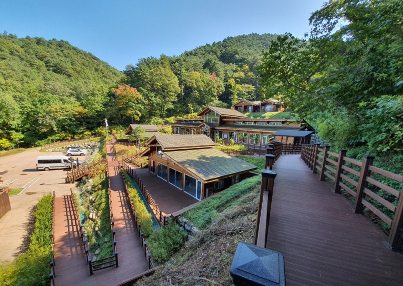 강릉 국립대관령치유의숲 이미지 1