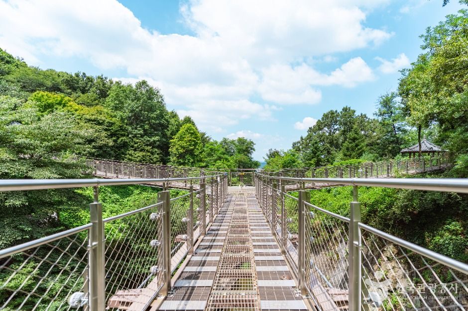 도덕산 출렁다리 이미지 2