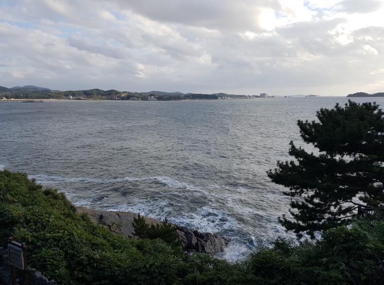 보령 상화원 [섬 전체가 정원] 이미지 5