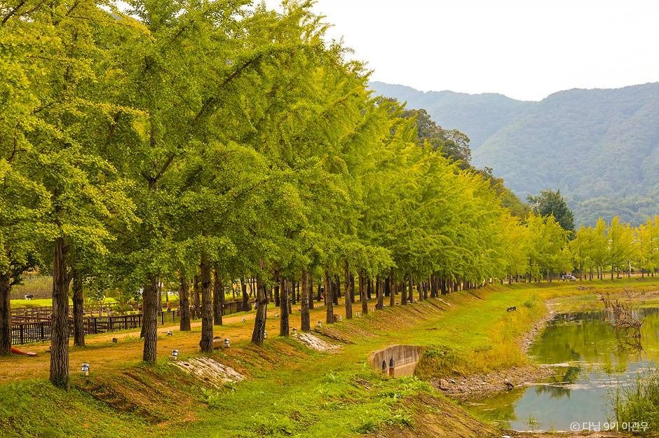 괴산 문광저수지 이미지 5