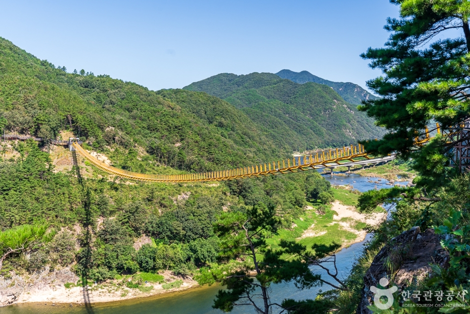 월영산 출렁다리 이미지 1