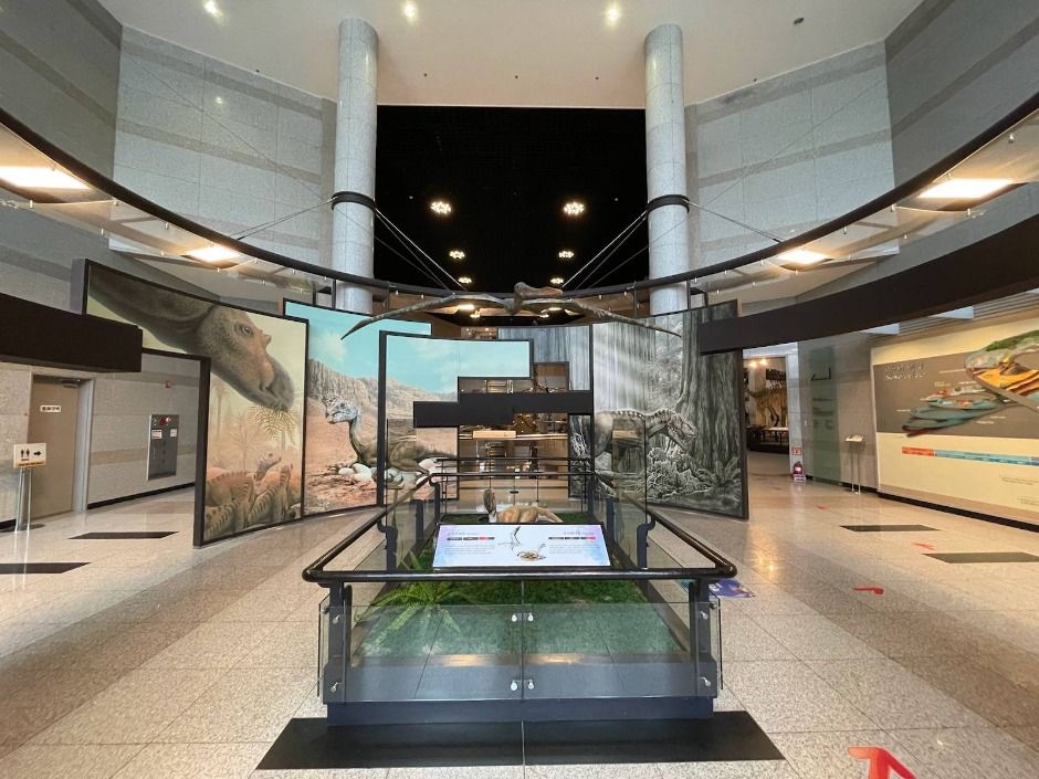고성 공룡박물관 이미지 6