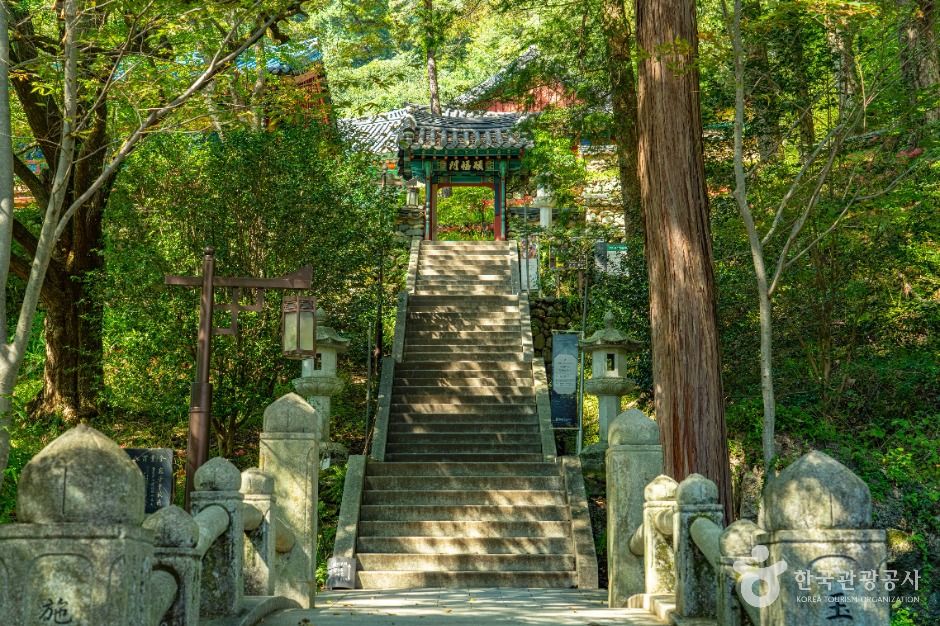 하동 쌍계사 이미지 4