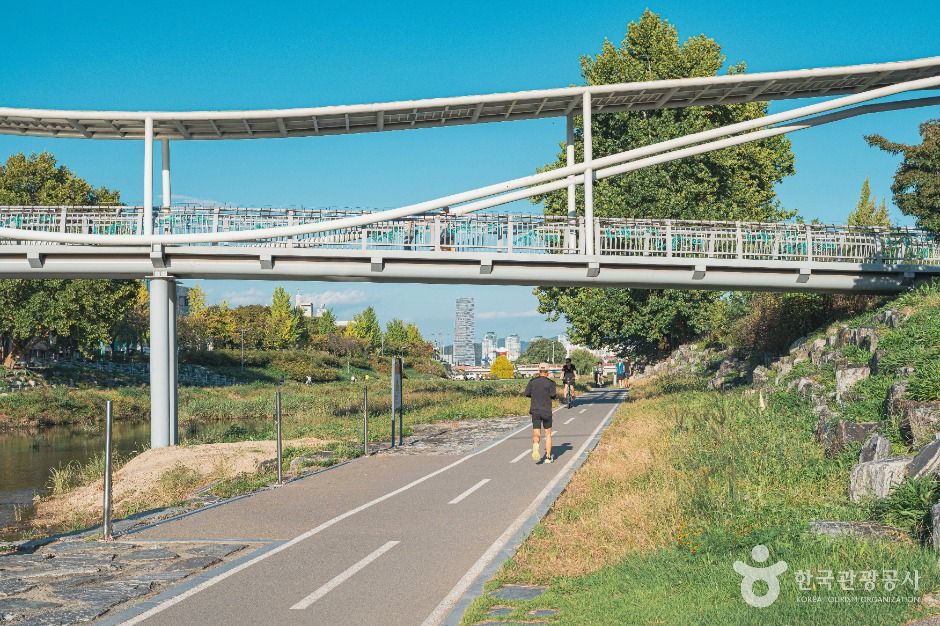대전 갑천생태호수공원 이미지 3