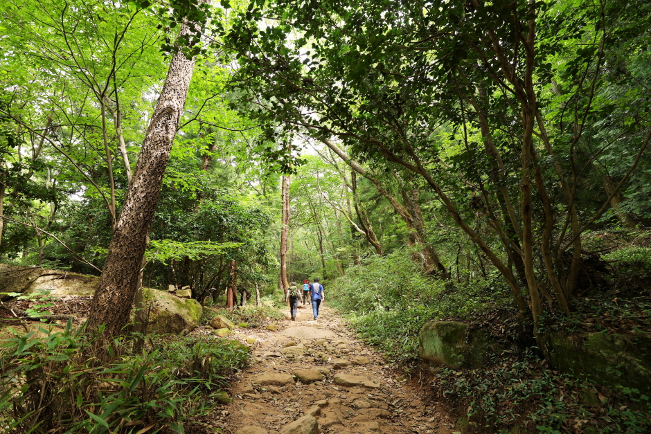 월출산국립공원 경포대지구 이미지 4