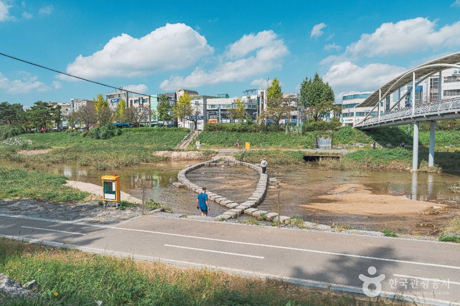 대전 갑천생태호수공원 이미지 2