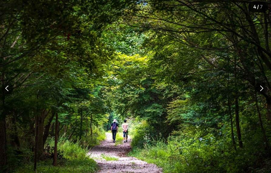 논산 온빛자연휴양림 이미지 3