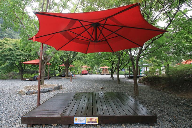 옥천 장령산자연휴양림 이미지 6