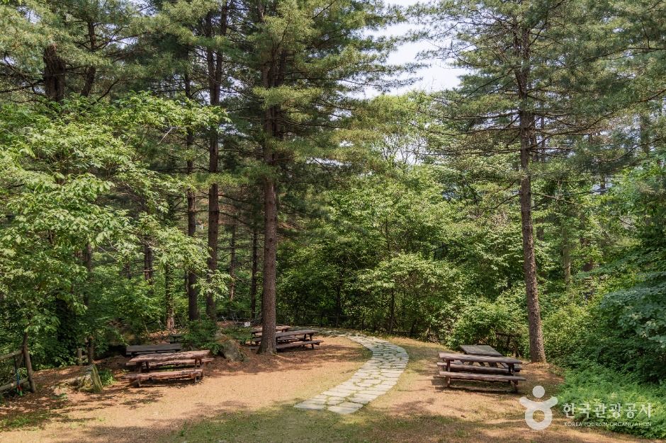 남양주 물맑음수목원 이미지 5