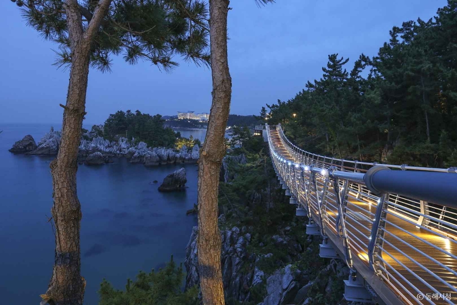 삼척 초곡용굴 촛대바위길 이미지 3