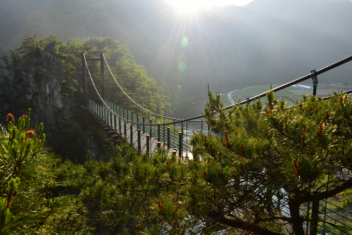 충주 수주팔봉 출렁다리 _캠핑성지 이미지 8