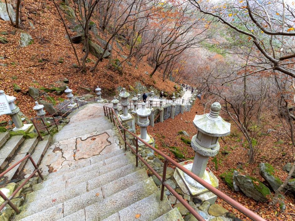 경산 팔공산국립공원_갓바위지구 이미지 5