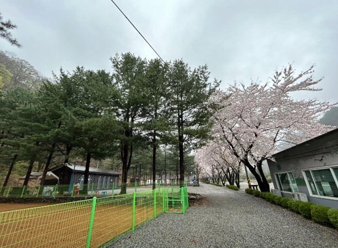 오색허브농원 이미지 3