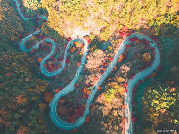 단양 보발재 썸네일