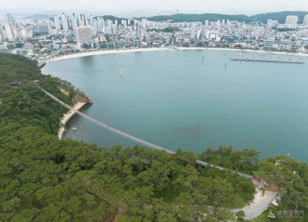 대왕암공원 출렁다리 썸네일