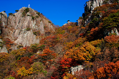국립공원 이미지