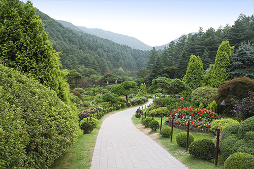 식물원 이미지